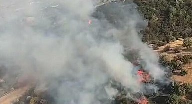 Aydın'da tarım arazisindeki yangın 1 saatte söndürüldü