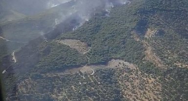 Aydın'daki orman yangını 2'nci gününde