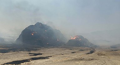 Aydın'daki ot yangını hayvan çiftliğine sıçradı; kontrol altında