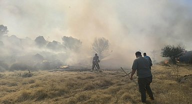 Ayvalık'ta aynı zamanda çıkan 4 yangın büyümeden söndürüldü