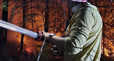 Balıkesir'de orman yangını