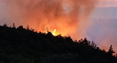 Balıkesir'de orman yangını