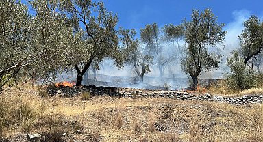 Balıkesir'de tarım arazisinde çıkan yangın 2 saatte kontrol altına alındı