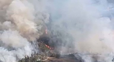 Balıkesir'de tarım arazisinde çıkan yangın ormana sıçradı