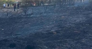 Balıkesir'deki orman yangını 1 saatte kontrol altına alındı