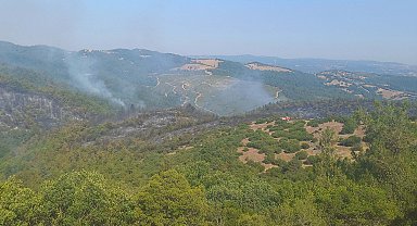 Balıkesir'deki orman yangını 2'inci gününde