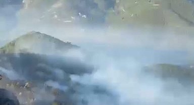 Balıkesir'deki orman yangını 2'nci gününde