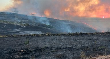 Bandırma'da zeytinliklere sıçrayan yangın kontrol altında