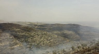 Batman'da örtü yangını; bin dönüm alan zarar gördü