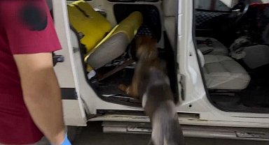 Benzin deposuna gizlenmiş 20 kilo uyuşturucuyu 'Mailo' buldu