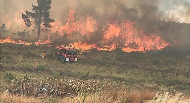 Bilecik'te orman yangını