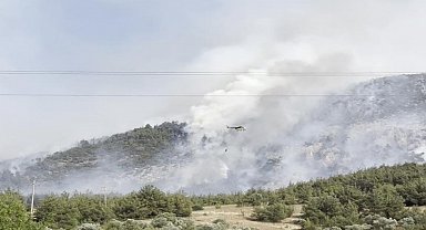 Bilecik'te orman yangını