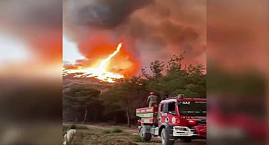 Bilecik'teki orman yangınında ateş hortumu oluştu