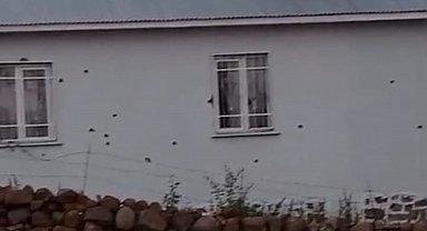 Bingöl'de 2 eve silahlı saldırı