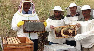 Bitlis'te hasat başladı; 150 kovandan 1,5 ton bal alma hedefi