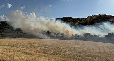 Bitlis'te örtü yangını söndürüldü