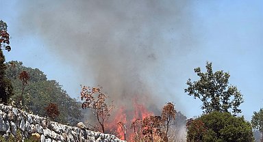 Bodrum'daki yangında 2 hektar alan zarar gördü