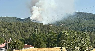 Bolu'da orman yangını