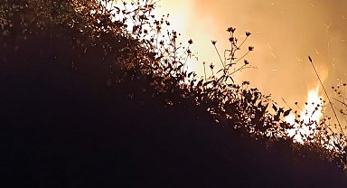 Bolu'da örtü yangını