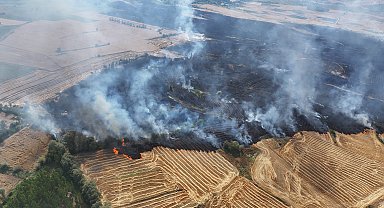 Buğday ekili arazide yangın; 250 dekar alan zarar gördü