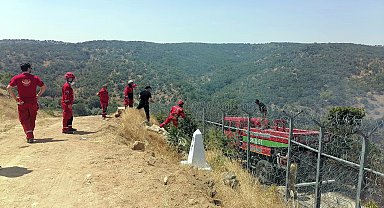 Bulgaristan'da çıkıp Türkiye sınırına ulaşan orman yangını, kontrol altına alındı