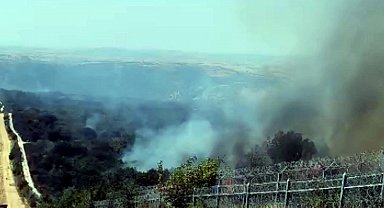 Bulgaristan'daki orman yangını, Türkiye sınırına ulaştı