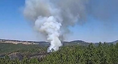 Bursa Orhaneli'de alevler yeniden canlandı