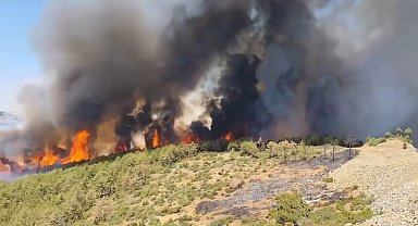 Bursa Orhaneli'de alevler yeniden canlandı