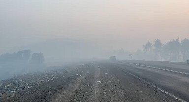 Bursa Orhaneli'de orman yangını; çevreyi duman kapladı