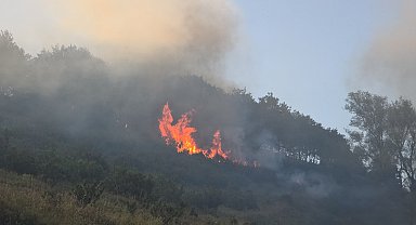 Bursa-Yalova sınırında orman yangını