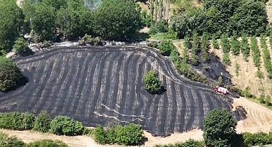 Bursa'da anız yangını; 30 dönüm alan zarar gördü