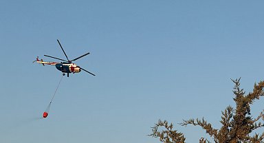 Bursa'da orman yangını