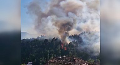 Bursa'da orman yangını