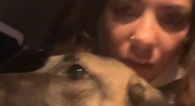 Bursa'da orman yangını