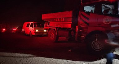 Bursa'da orman yangını