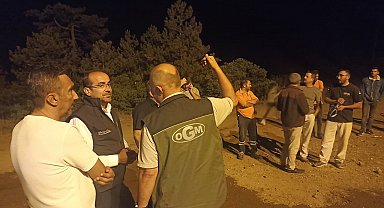 Bursa'da orman yangını