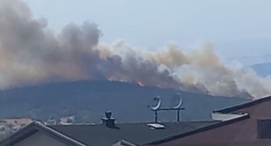 Bursa'da orman yangını