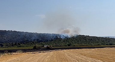 Bursa'da orman yangını