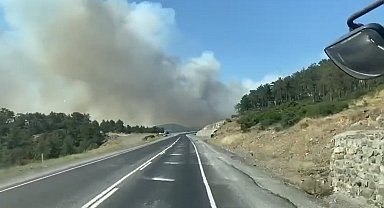 Bursa'da orman yangını