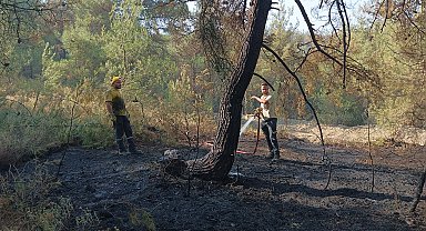 Bursa'da orman yangınları 3'üncü gününde