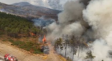 Bursa'da orman yangınları 3'üncü gününde