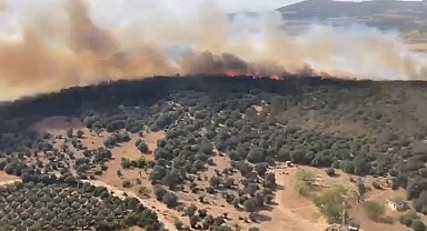 Bursa'da sazlık yangını