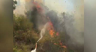 Bursa'da tarım arazisinde çıkan yangın söndürüldü