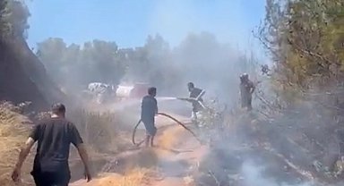 Bursa'da zeytinlik yangını ormana sıçramadan söndürüldü