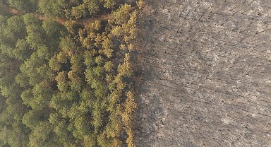 Bursa'daki orman yangını 4'üncü gününde; yanan alanlar dronla görüntülendi
