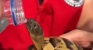 Bursa'daki orman yangını 4'üncü gününde; yanan alanlar dronla görüntülendi