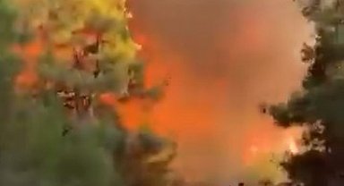 Bursa'daki orman yangını 4'üncü gününde; yanan alanlar dronla görüntülendi