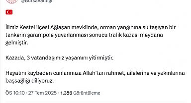 Bursa'daki yangın bölgesi dronla görüntülendi; 3 ölü