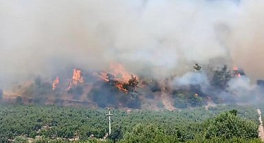 Bursa'daki yangın bölgesi dronla görüntülendi; tahliye edilen mahallelere dönüş başladı