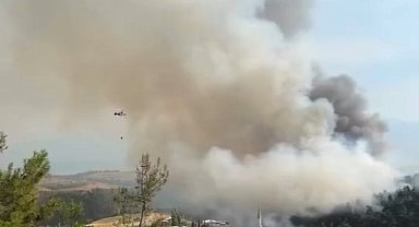 Bursa'daki yangın bölgesi dronla görüntülendi